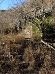 IMG_5324.JPG